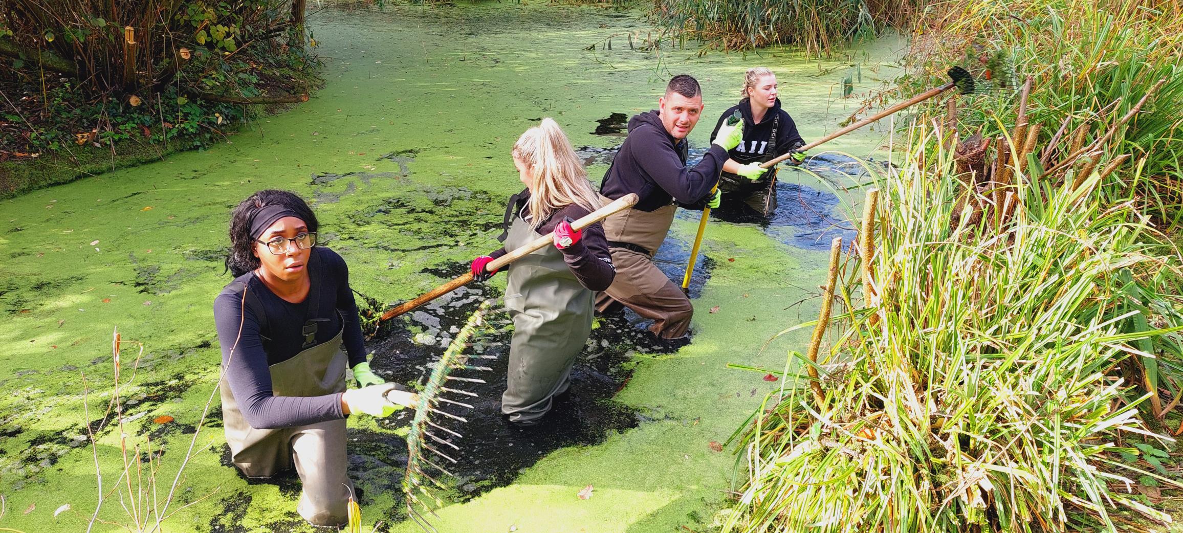 Pond clearing at Herschel Park