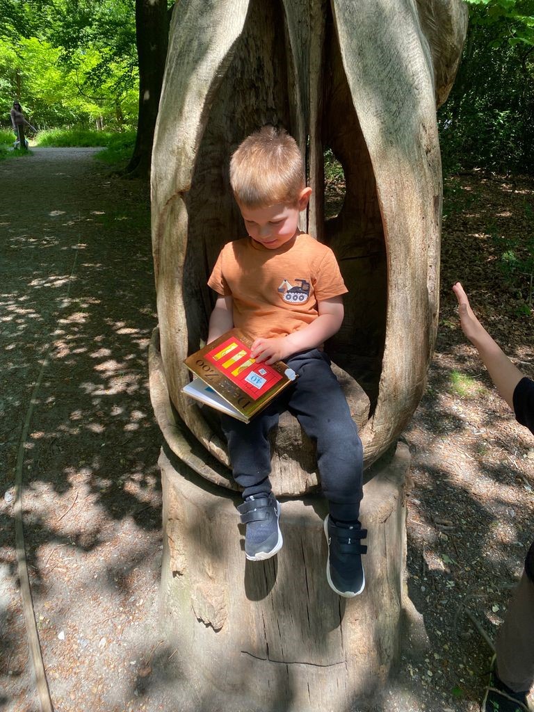 Little boy reading on tree stump
